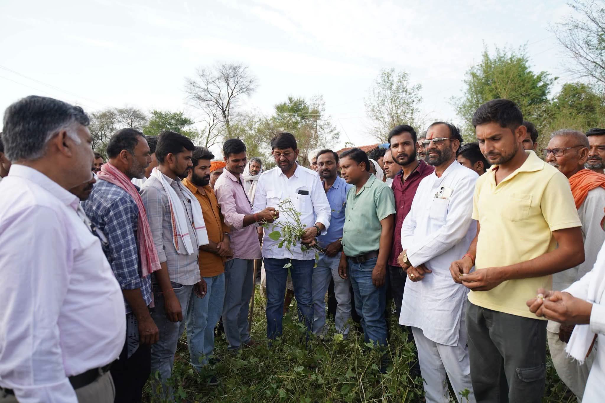 ओलावृष्टि से प्रभावित किसानों के बीच पहुंचे मंत्री लखन पटेल, 200 किसानों को मिली करीब 40 लाख की राहत