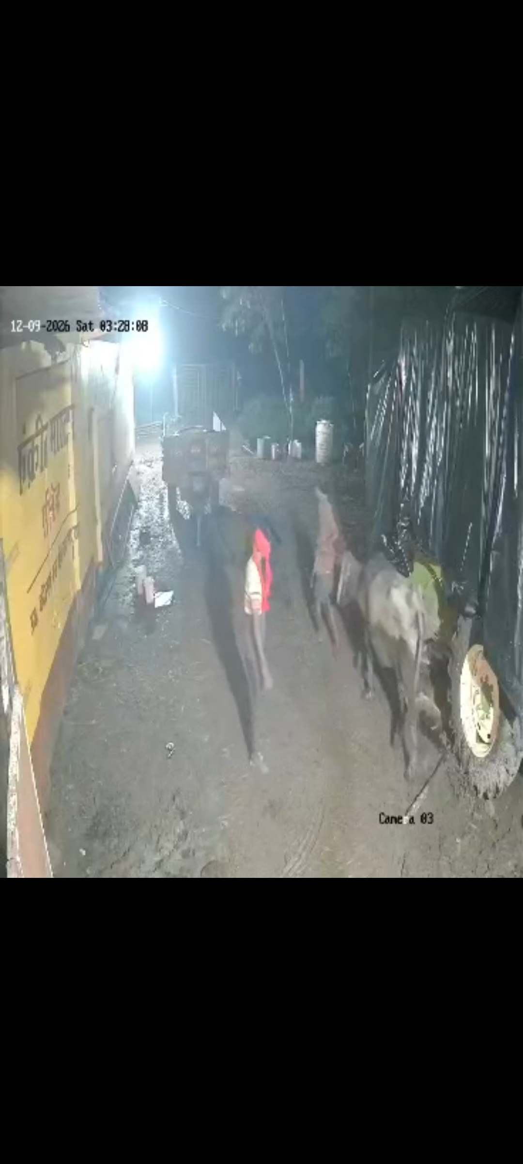 घर के बाहर बंधी भैंस चोरी, CCTV में कैद हुई वारदात