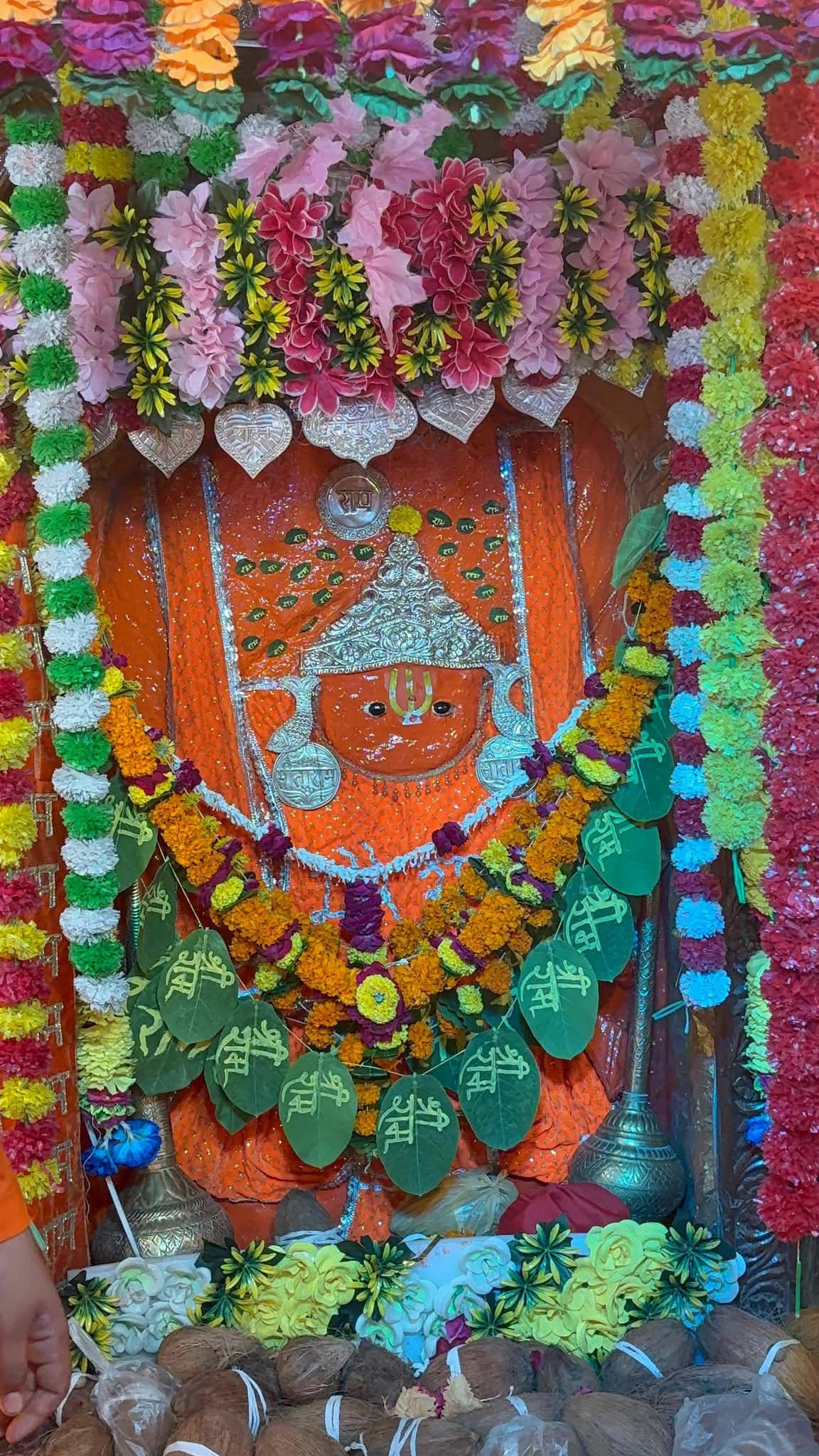 बकायन में गूंजा &lsquo;हरे राम&rsquo; का महामंत्र, मंत्री लखन पटेल ने हवन-पूजन में की सहभागिता